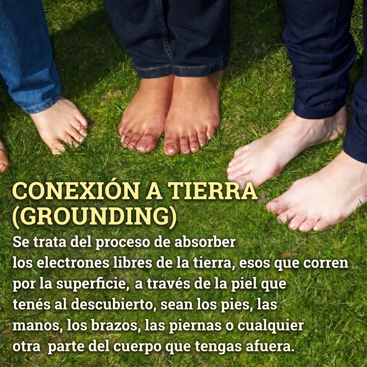 Status Sleep™ – El descanso que tu cuerpo necesita